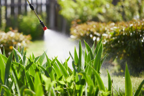 Tamper-Resistant Bait Stations for Rodents in Pulaski